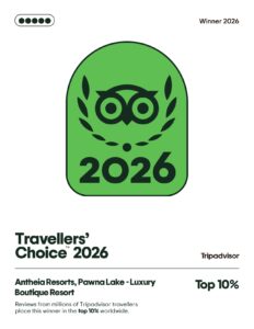 Award Logo